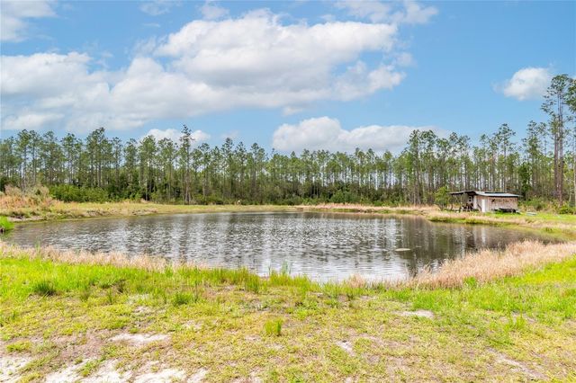12655 NE 215TH STREET, Fort Mc Coy, FL 32134