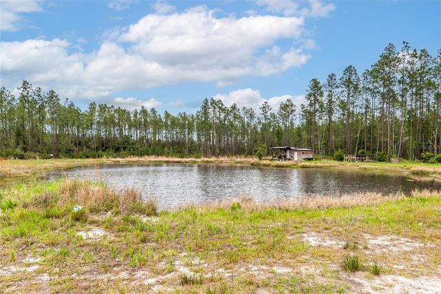 12655 NE 215TH STREET, Fort Mc Coy, FL 32134