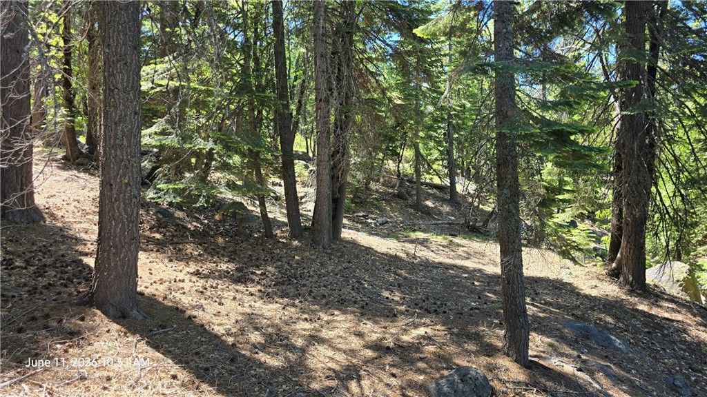 Image 24 of property listing at 0 Fish Creek, Oroville, CA 95966