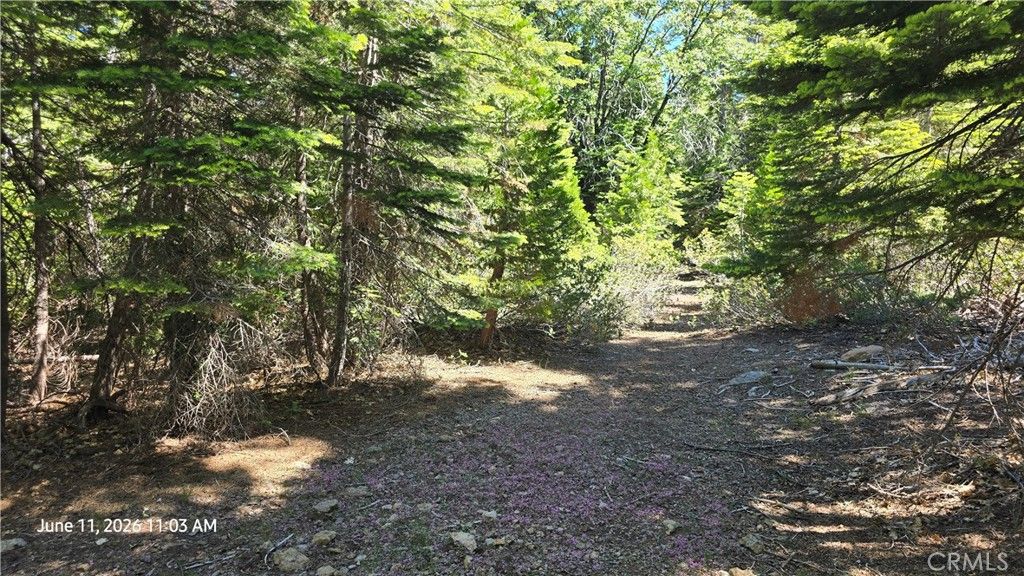 Image 29 of property listing at 0 Fish Creek, Oroville, CA 95966