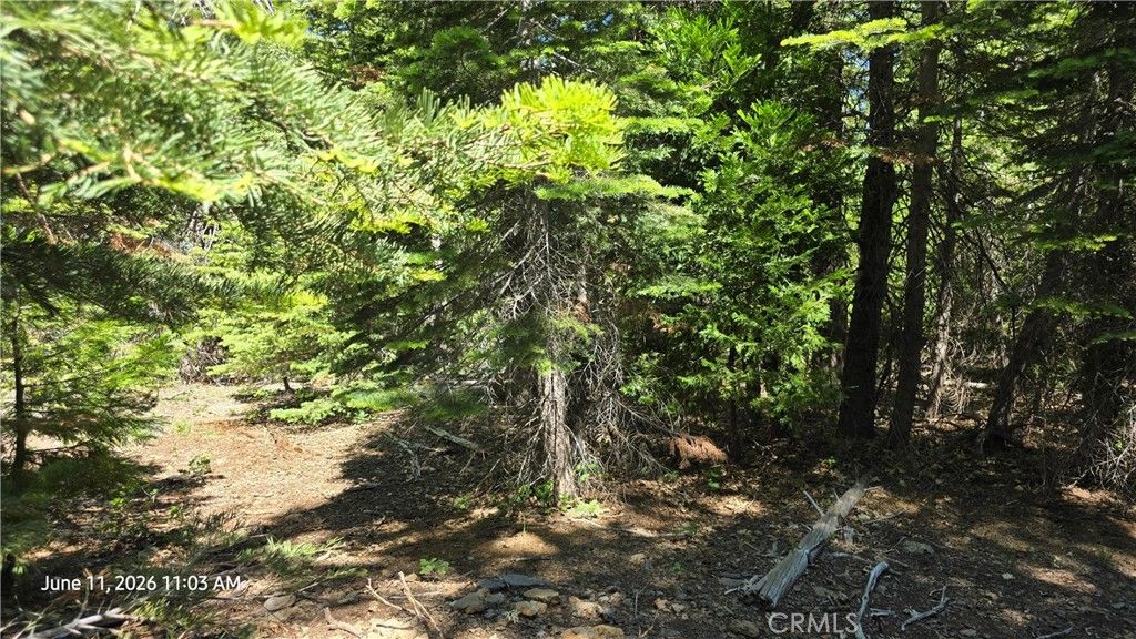 Image 30 of property listing at 0 Fish Creek, Oroville, CA 95966