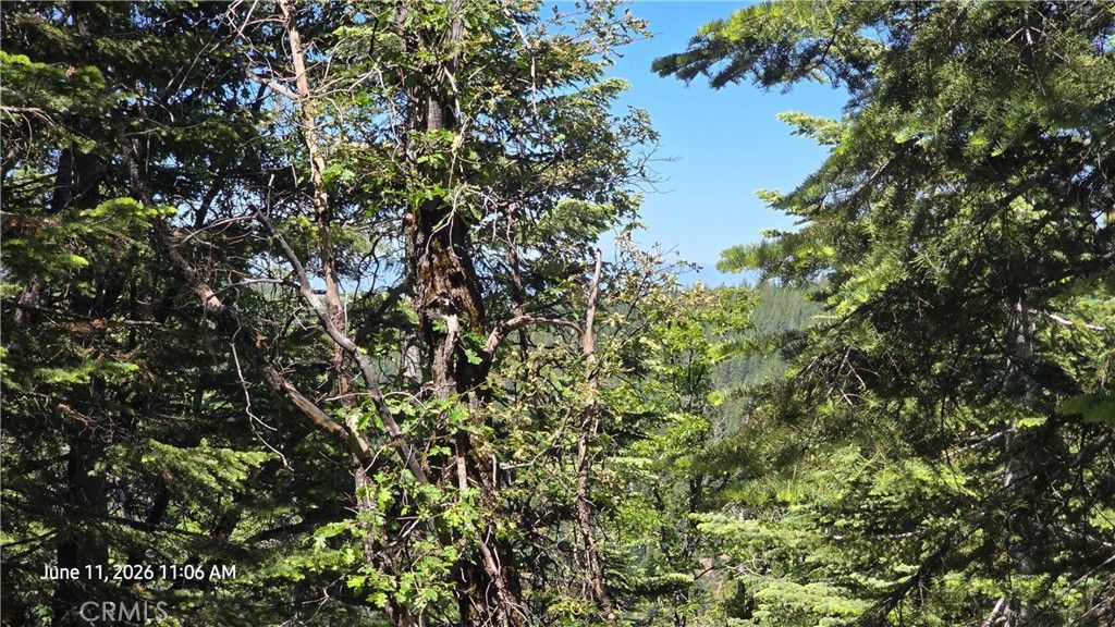 Image 35 of property listing at 0 Fish Creek, Oroville, CA 95966
