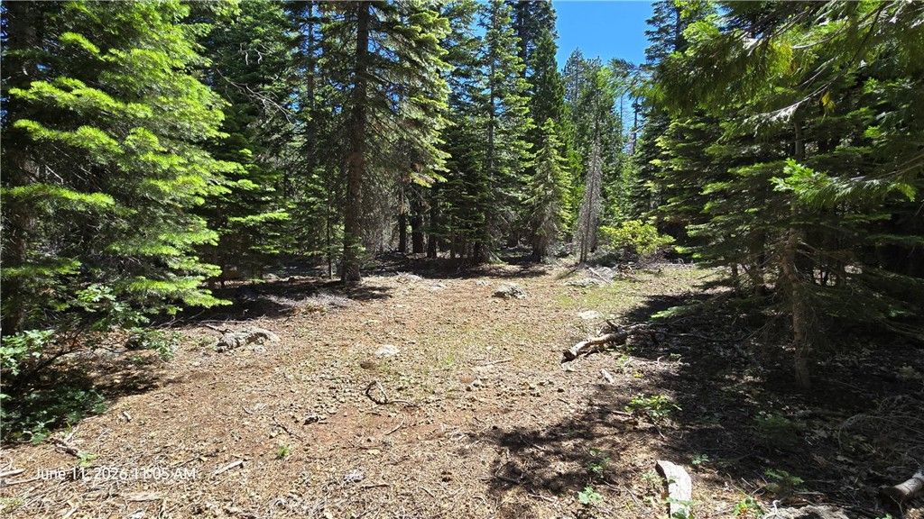 Image 40 of property listing at 0 Fish Creek, Oroville, CA 95966