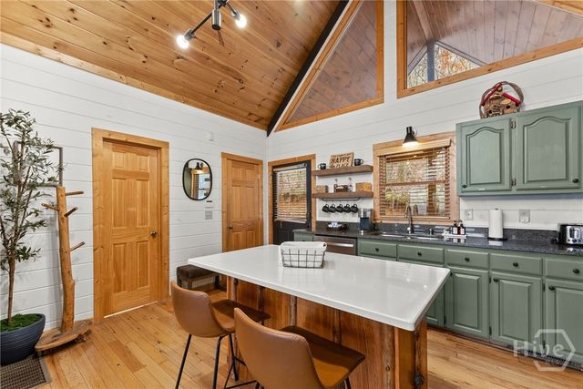 437 Spruce Circle, Mineral Bluff, GA 30559