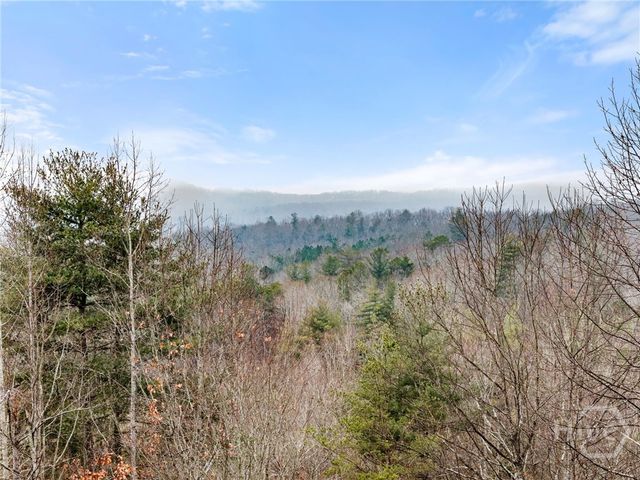 437 Spruce Circle, Mineral Bluff, GA 30559