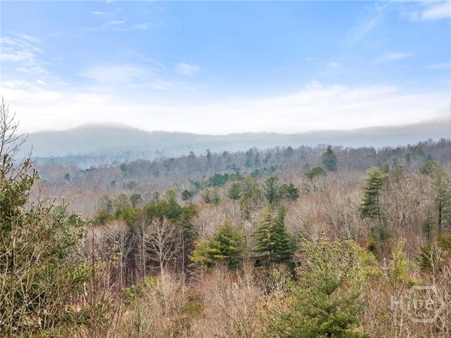 437 Spruce Circle, Mineral Bluff, GA 30559