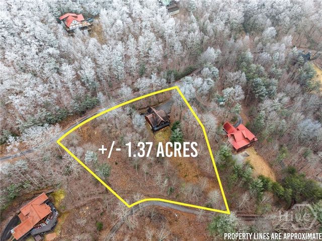 437 Spruce Circle, Mineral Bluff, GA 30559