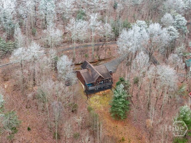 437 Spruce Circle, Mineral Bluff, GA 30559