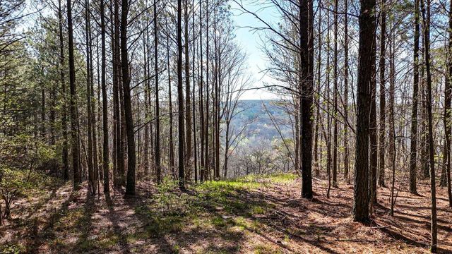 Lot 1350 Split Rail Way, Guild, TN 37340