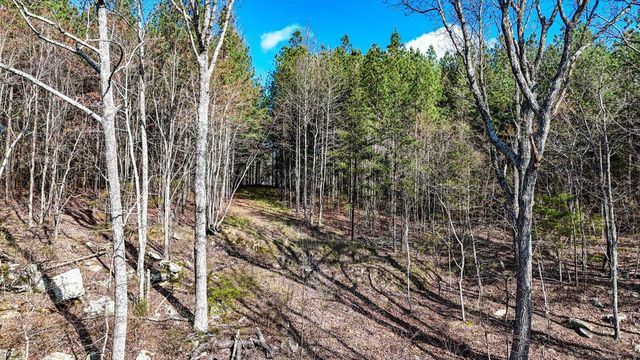 Lot 1350 Split Rail Way, Guild, TN 37340