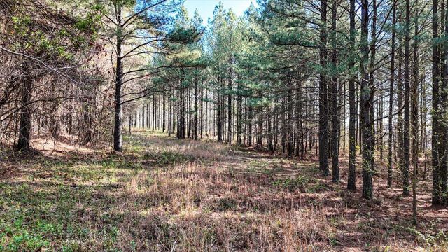 Lot 1350 Split Rail Way, Guild, TN 37340