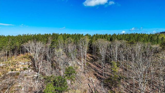 Lot 1350 Split Rail Way, Guild, TN 37340