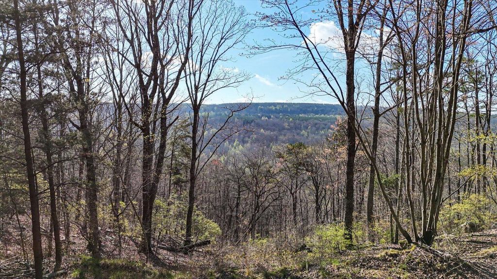 Lot 1350 Split Rail Way, Guild, TN 37340