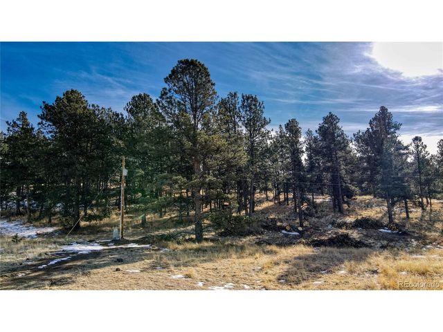 150 High Pasture Rd, Florissant, CO 80816
