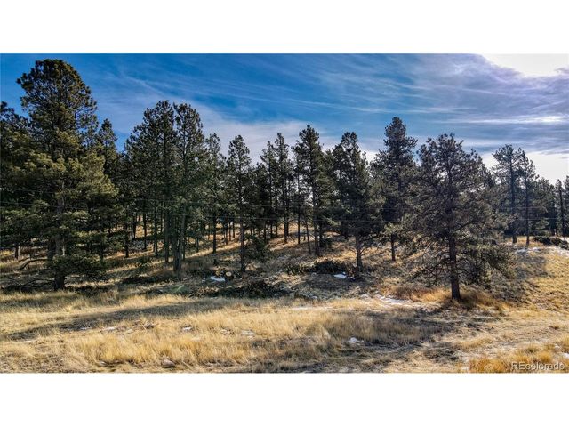 150 High Pasture Rd, Florissant, CO 80816