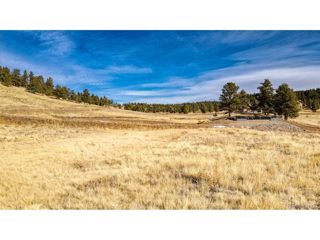 150 High Pasture Rd, Florissant, CO 80816