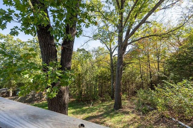 44 Stonemont Road, Blue Eye, MO 65611