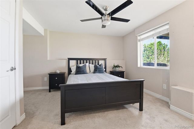 8428 Blackgum Street, Parker, CO 80134