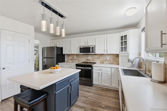 8428 Blackgum Street, Parker, CO 80134