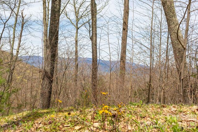 Lot 2 Heritage Ridge Loop, Burnsville, NC 28714