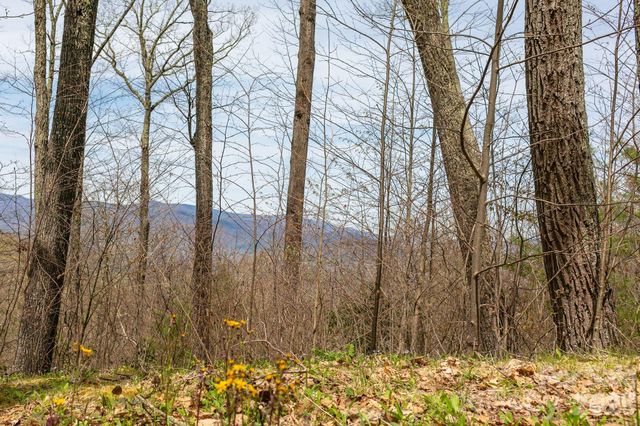 Lot 2 Heritage Ridge Loop, Burnsville, NC 28714