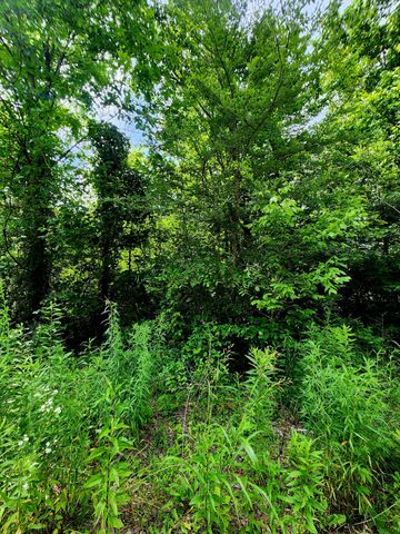 0 River Road 26, Decatur, TN 37322