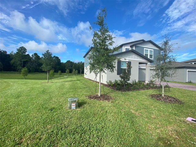 17367 MILLION LAKES COURT, Clermont, FL 34714