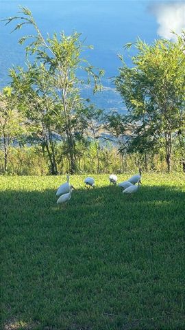 3405 NW 44th Street 105, Lauderdale Lakes, FL 33309