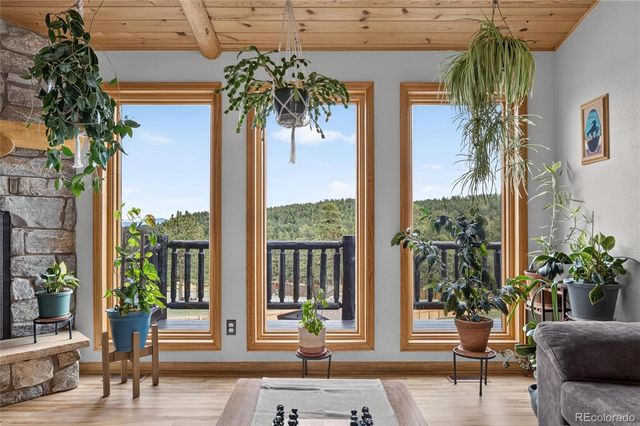 196 Conifer Drive, Bailey, CO 80421