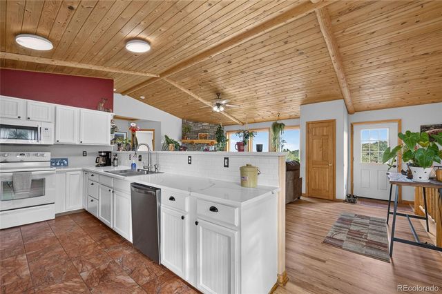 196 Conifer Drive, Bailey, CO 80421