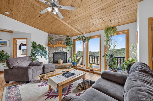 196 Conifer Drive, Bailey, CO 80421