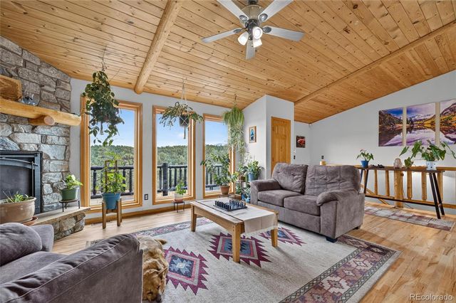 196 Conifer Drive, Bailey, CO 80421