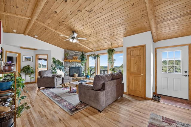 196 Conifer Drive, Bailey, CO 80421
