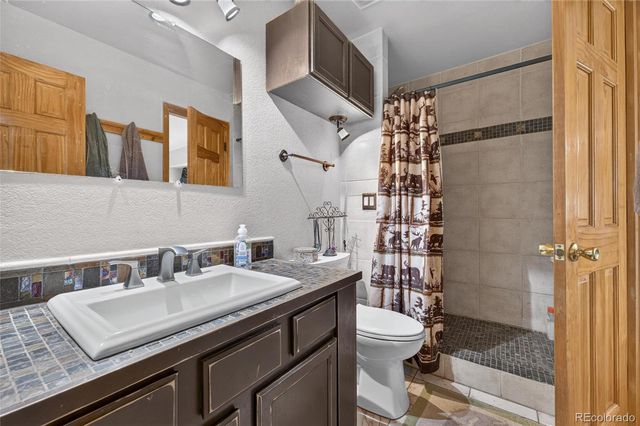 196 Conifer Drive, Bailey, CO 80421