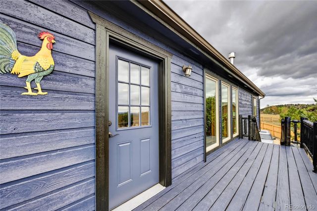 196 Conifer Drive, Bailey, CO 80421