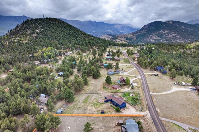 196 Conifer Drive, Bailey, CO 80421