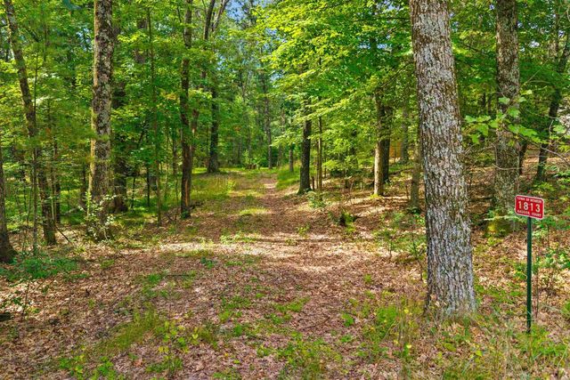1813 Badger Court, Arkdale, WI 54613