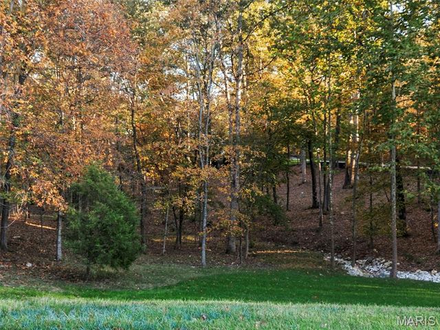 740 Crown Pointe Farms, Defiance, MO 63341