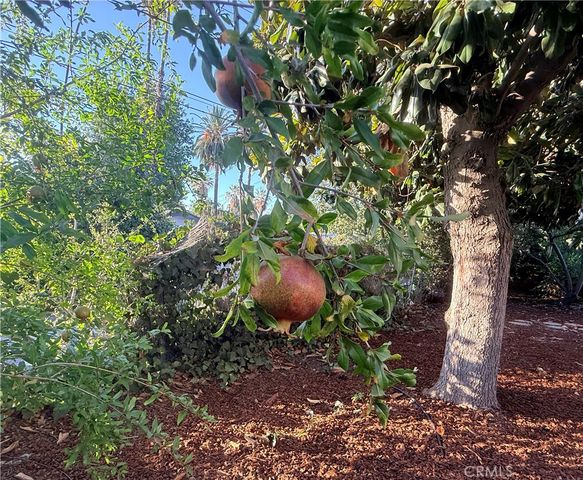 8 Dale, Redlands, CA 92373