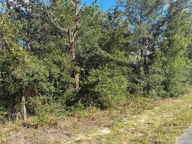 SW SEAWEED AVENUE, Dunnellon, FL 34430