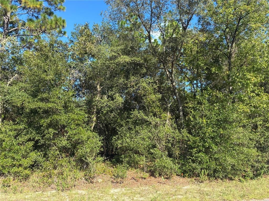 SW SEAWEED AVENUE, Dunnellon, FL 34430