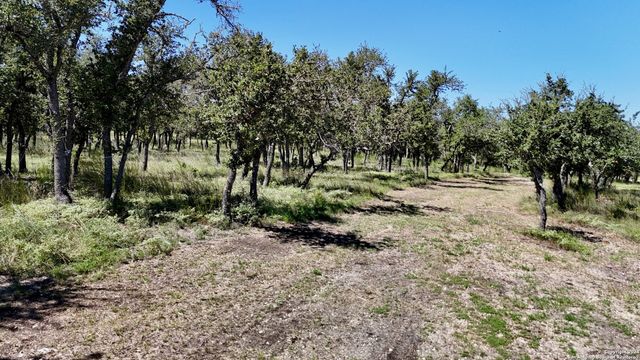 679 Lago Vista Drive, Fredericksburg, TX 78624