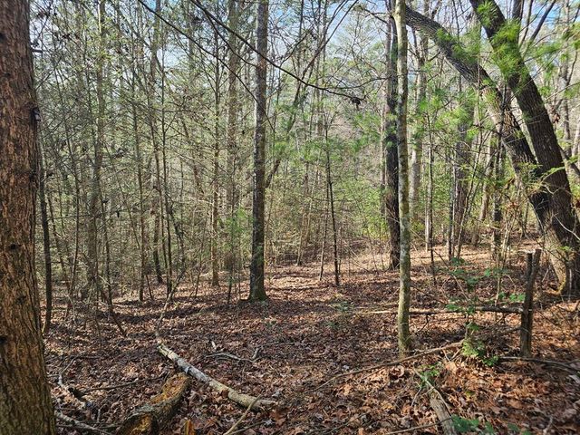 Lot 77 Roaring Forks Lane, Ellijay, GA 30540
