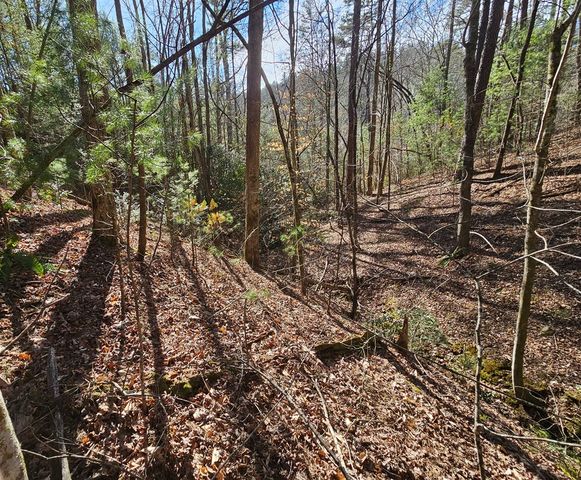 Lot 77 Roaring Forks Lane, Ellijay, GA 30540
