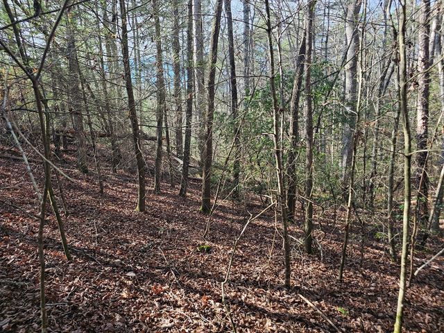 Lot 77 Roaring Forks Lane, Ellijay, GA 30540