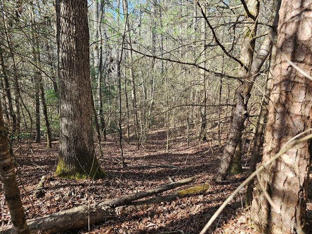 Lot 77 Roaring Forks Lane, Ellijay, GA 30540