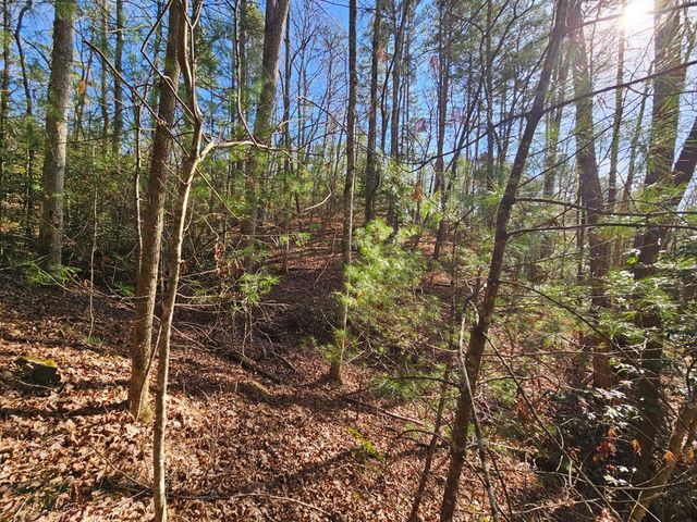 Lot 77 Roaring Forks Lane, Ellijay, GA 30540