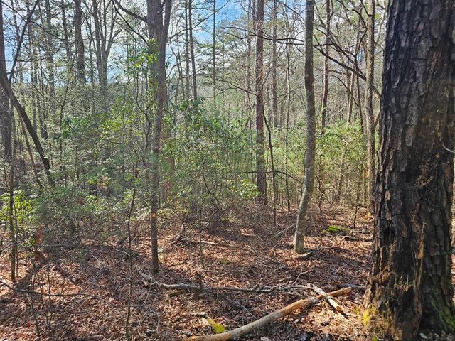 Lot 77 Roaring Forks Lane, Ellijay, GA 30540