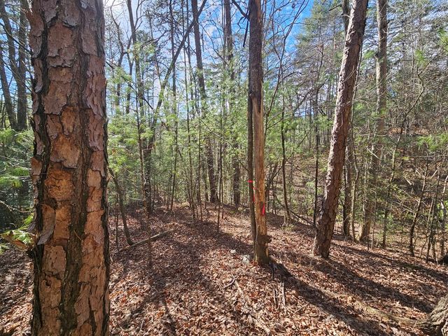 Lot 77 Roaring Forks Lane, Ellijay, GA 30540