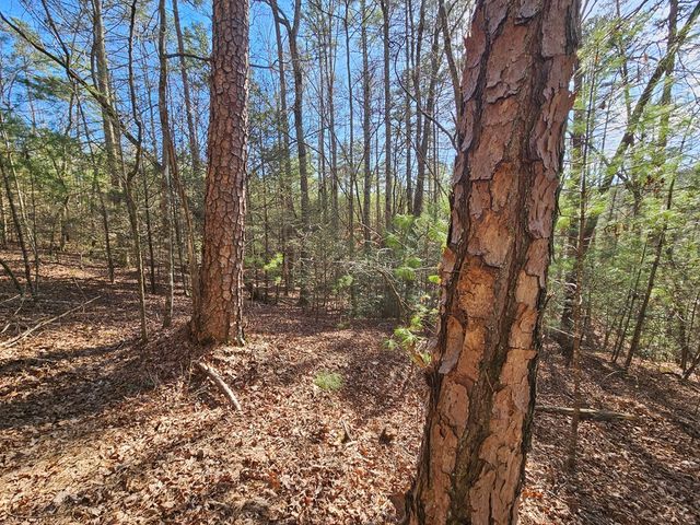 Lot 77 Roaring Forks Lane, Ellijay, GA 30540